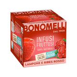 Puuviljatee BONOMELLI Lampone e Ribes Rosso, 12 tk.