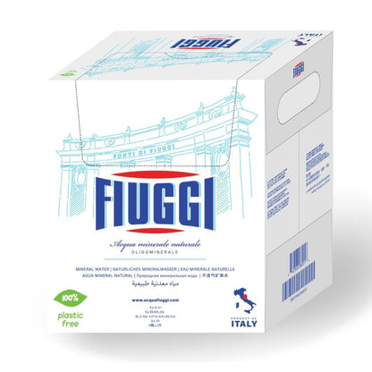 Натуральная минеральная вода в стекле FIUGGI, 1 Л