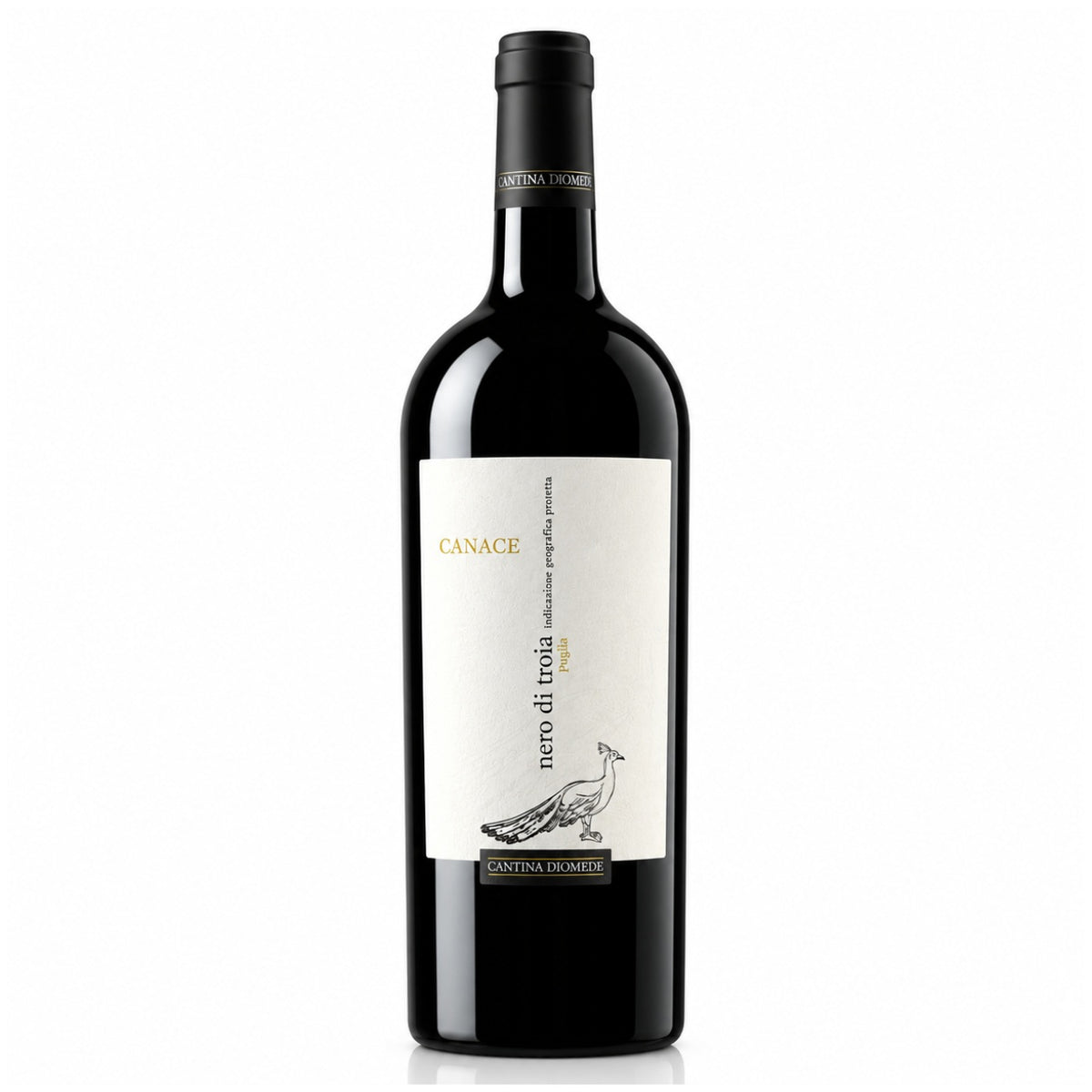 CANTINA DIOMEDE Canace Nero di Troia