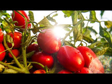 Dārzeņu mērces koncentrāts MUTTI Le Verdurine, 130g